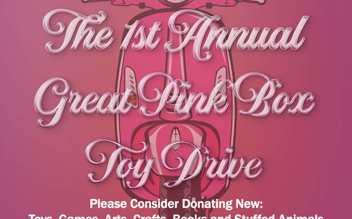 1st Annual Great Pink Box Toy Drive