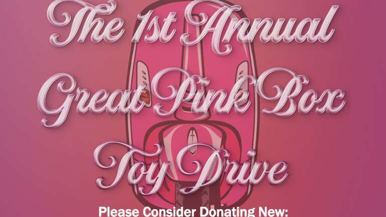 1st Annual Great Pink Box Toy Drive